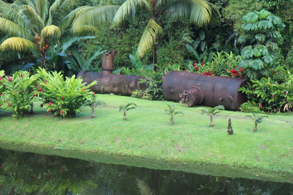 Villa CARRIBBEAN Madicreole au Carbet à Le Carbet Extérieur photo